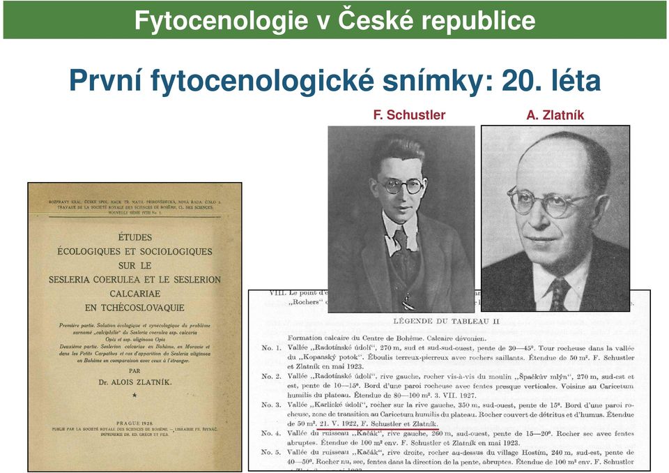fytocenologické snímky: