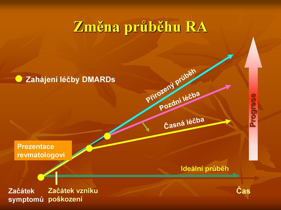 revmatologovi Ideální průběh