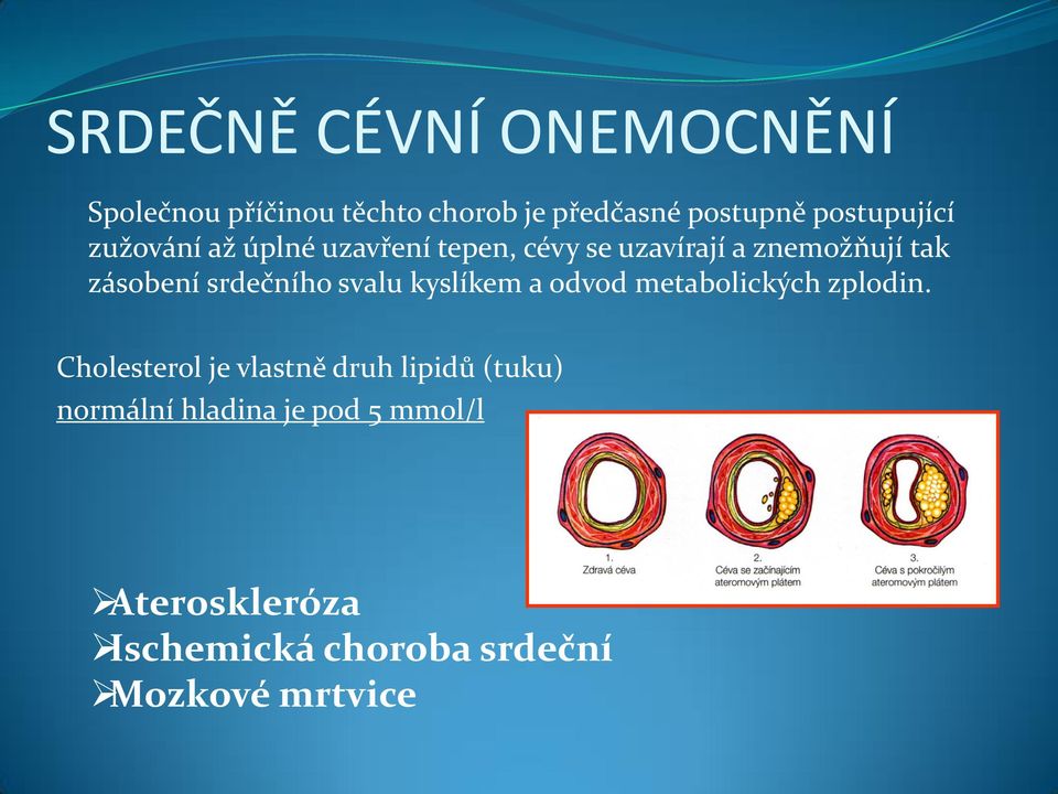 srdečního svalu kyslíkem a odvod metabolických zplodin.