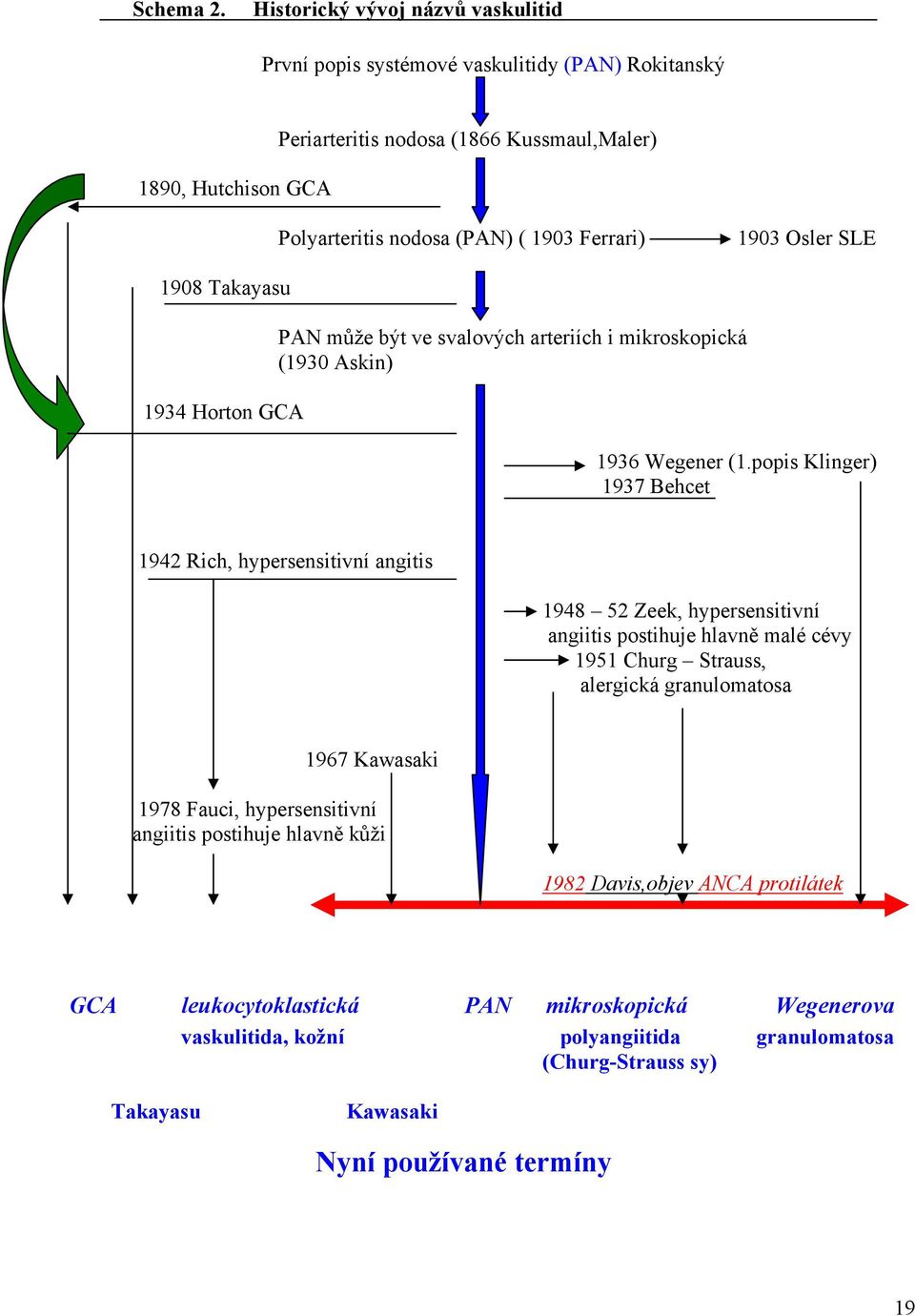 1903 Osler SLE 1908 Takayasu 1934 Horton GCA PAN může být ve svalových arteriích i mikroskopická (1930 Askin) 1936 Wegener (1.
