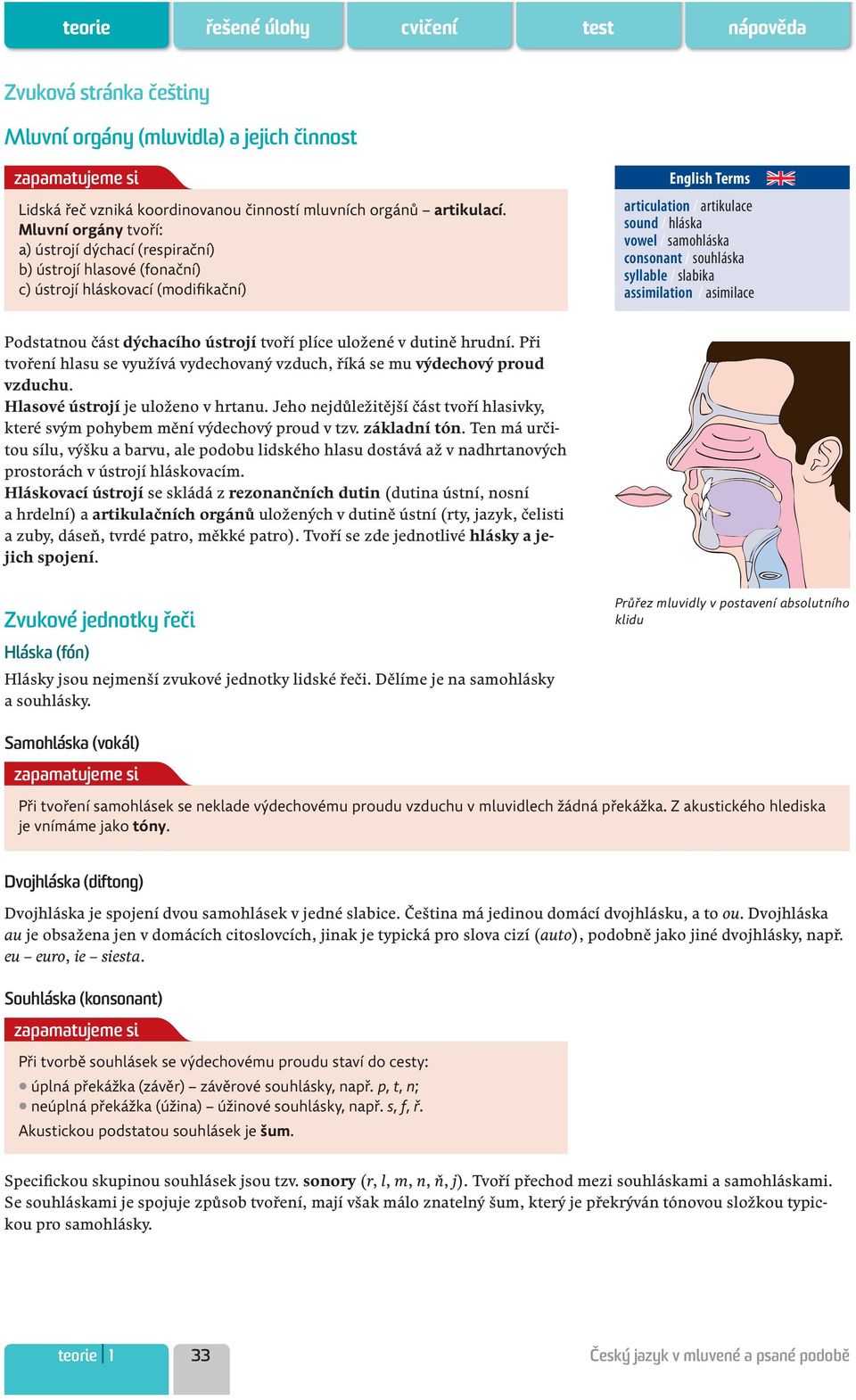consonant / souhláska syllable / slabika assimilation / asimilace Podstatnou část dýchacího ústrojí tvoří plíce uložené v dutině hrudní.
