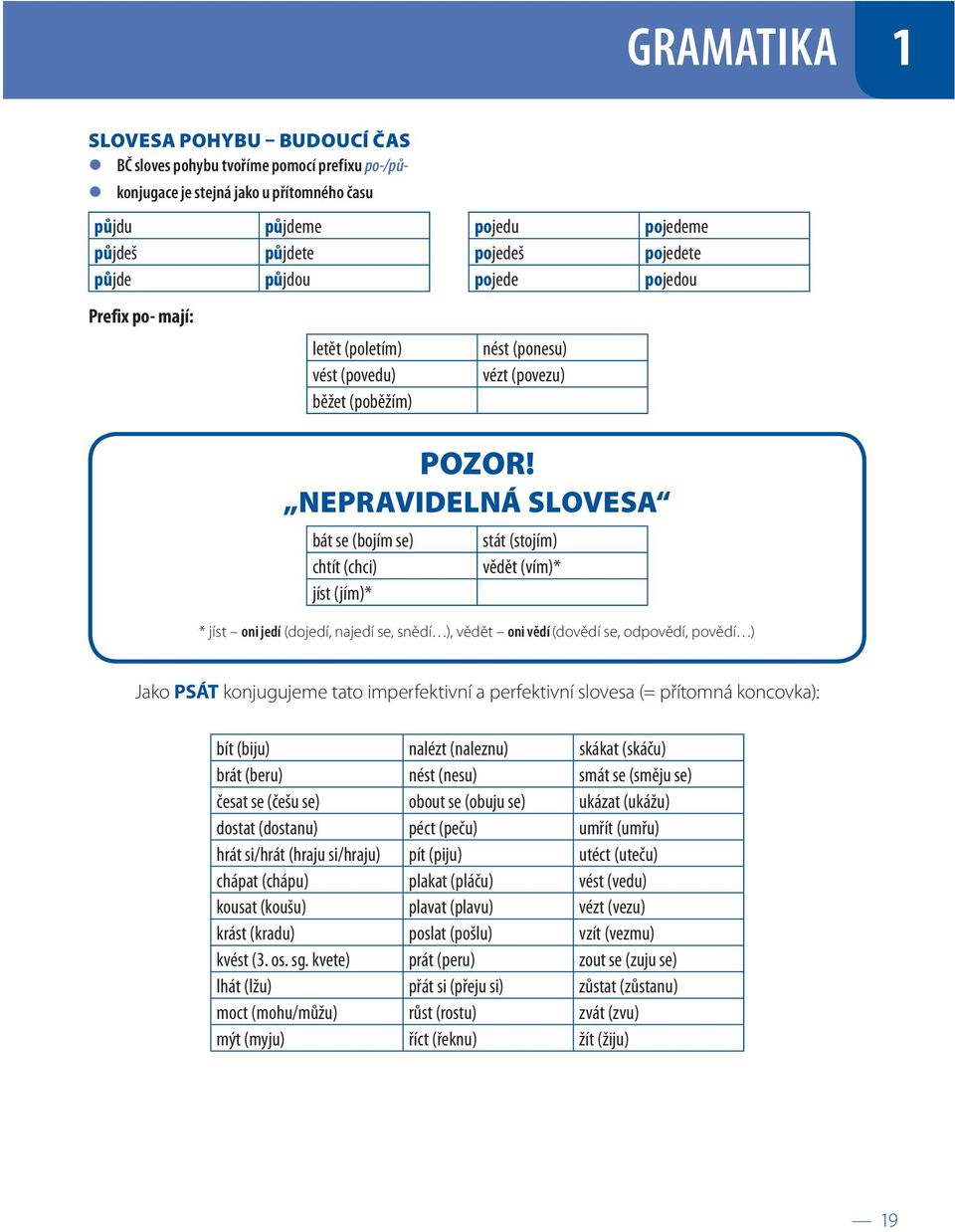 NEPRAVIDELNÁ SLOVESA bát se (bojím se) chtít (chci) jíst (jím)* stát (stojím) vědět (vím)* * jíst oni jedí (dojedí, najedí se, snědí ), vědět oni vědí (dovědí se, odpovědí, povědí ) Jako PSÁT