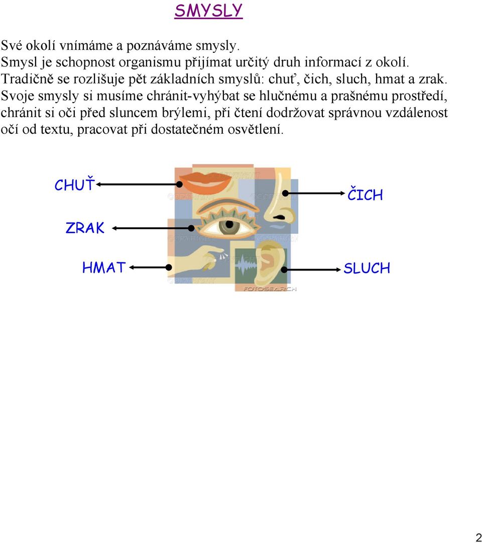 Tradičně se rozlišuje pět základních smyslů: chuť, čich, sluch, hmat a zrak.