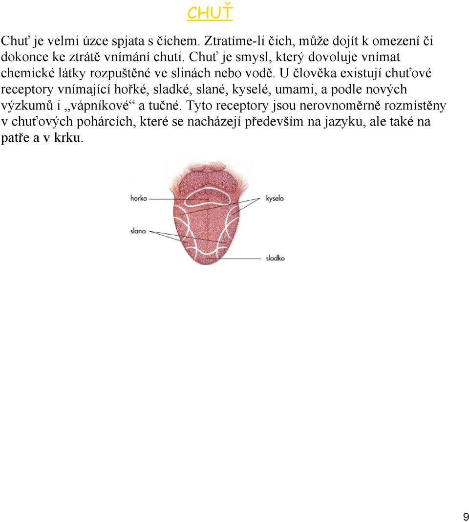 U člověka existují chuťové receptory vnímající hořké, sladké, slané, kyselé, umami, a podle nových výzkumů i