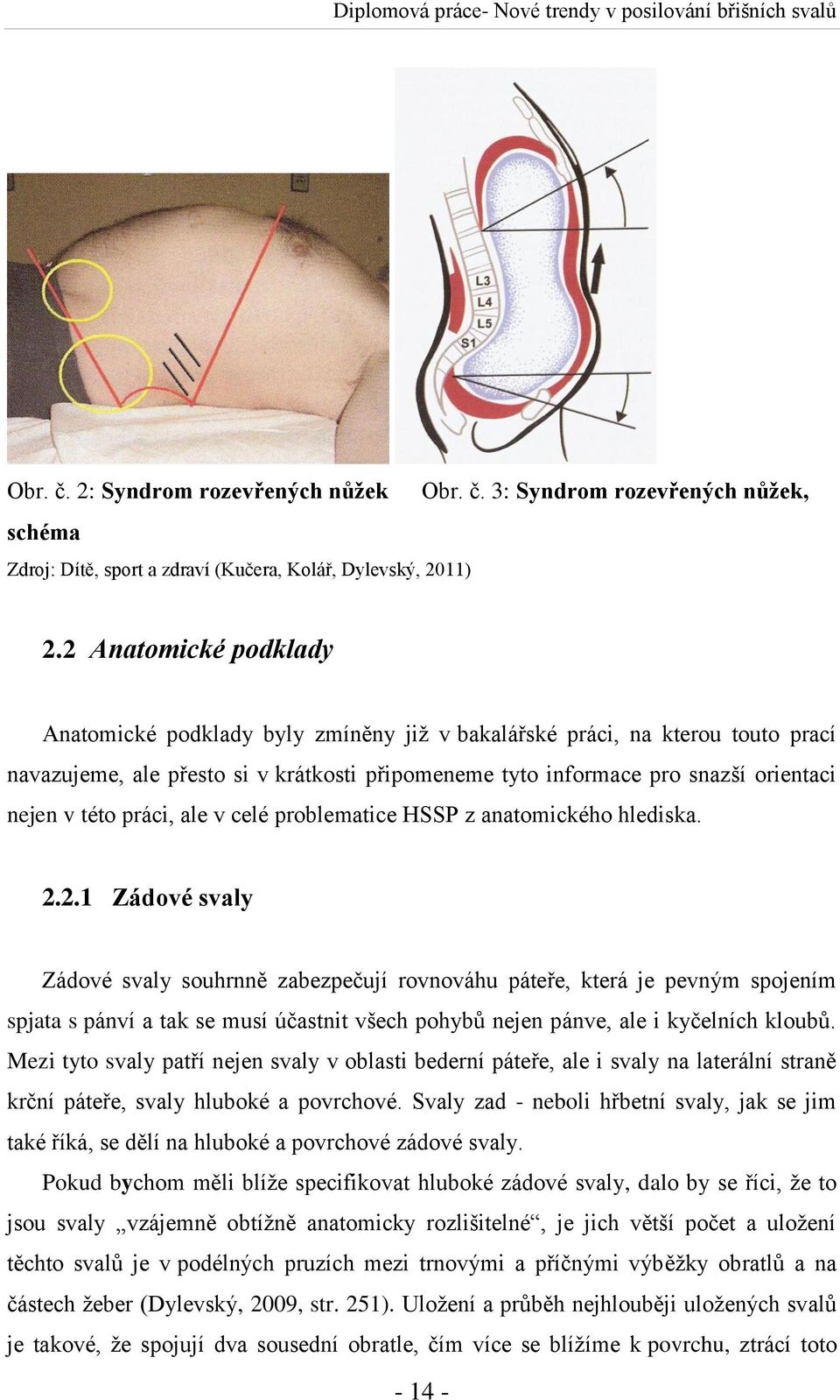 práci, ale v celé problematice HSSP z anatomického hlediska. 2.