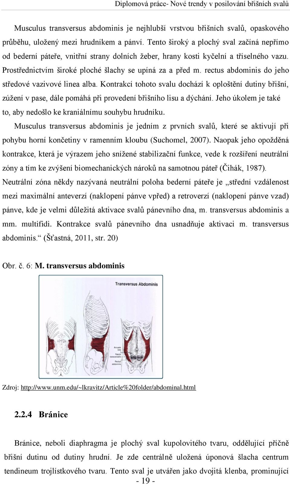 rectus abdominis do jeho středové vazivové linea alba. Kontrakcí tohoto svalu dochází k oploštění dutiny břišní, zúžení v pase, dále pomáhá při provedení břišního lisu a dýchání.