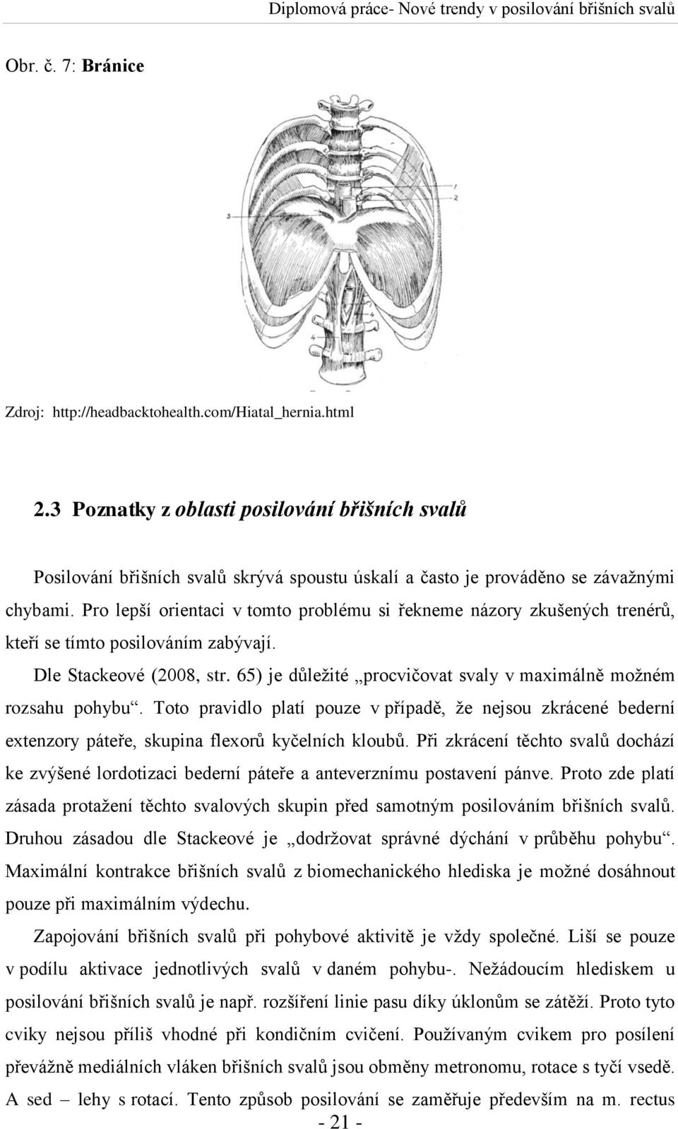 Pro lepší orientaci v tomto problému si řekneme názory zkušených trenérů, kteří se tímto posilováním zabývají. Dle Stackeové (2008, str.