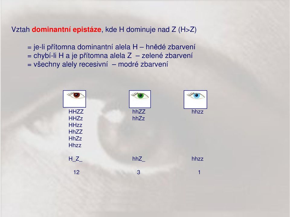 přítomna alela Z zelené zbarvení = všechny alely recesivní modré