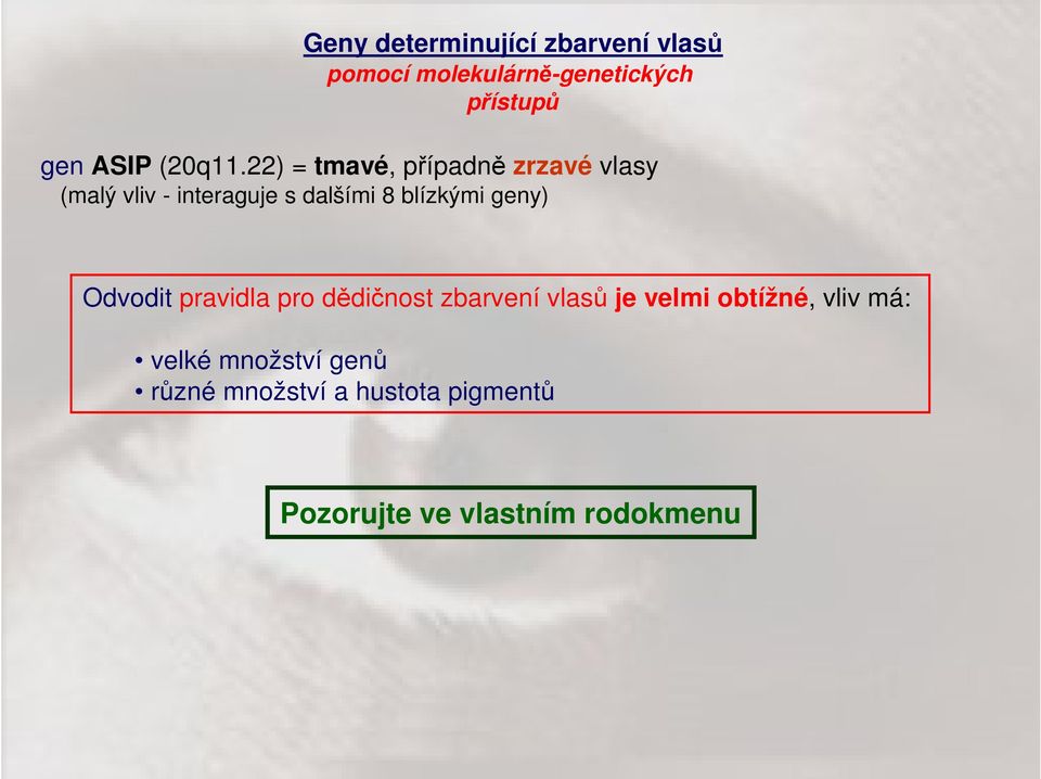 22) = tmavé, případně zrzavé vlasy (malý vliv - interaguje s dalšími 8 blízkými