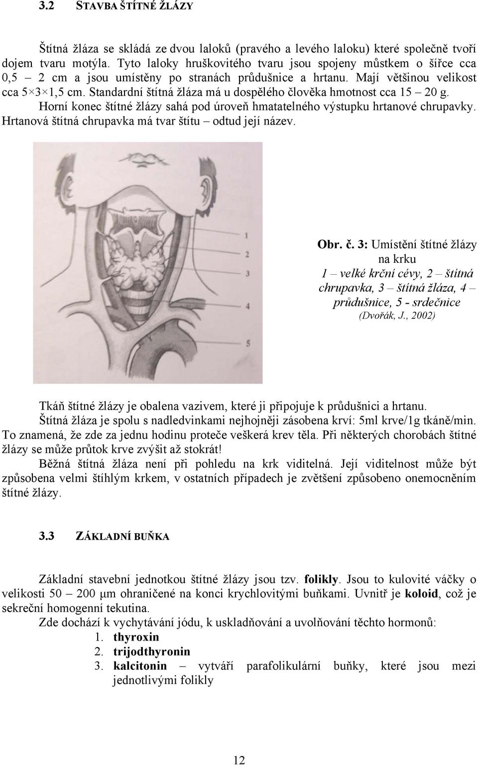 Standardní štítná žláza má u dospělého člověka hmotnost cca 15 20 g. Horní konec štítné žlázy sahá pod úroveň hmatatelného výstupku hrtanové chrupavky.