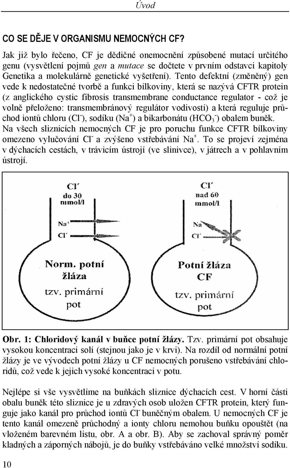 Tento defektní (změněný) gen vede k nedostatečné tvorbě a funkci bílkoviny, která se nazývá CFTR protein (z anglického cystic fibrosis transmembrane conductance regulator - což je volně přeloženo:
