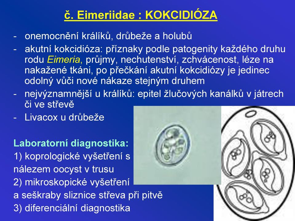 stejným druhem - nejvýznamnější u králíků: epitel žlučových kanálků v játrech či ve střevě - Livacox u drůbeže Laboratorní diagnostika: