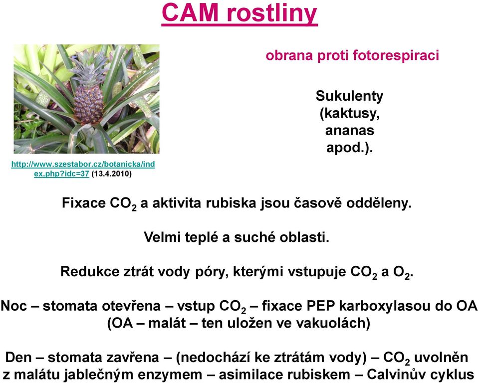 Redukce ztrát vody póry, kterými vstupuje CO 2 a O 2.