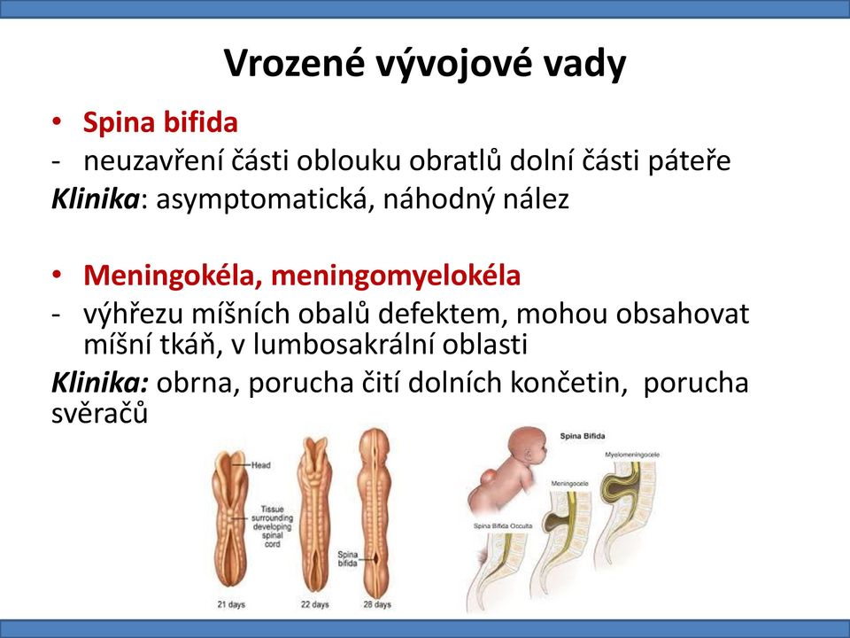 meningomyelokéla - výhřezu míšních obalů defektem, mohou obsahovat míšní