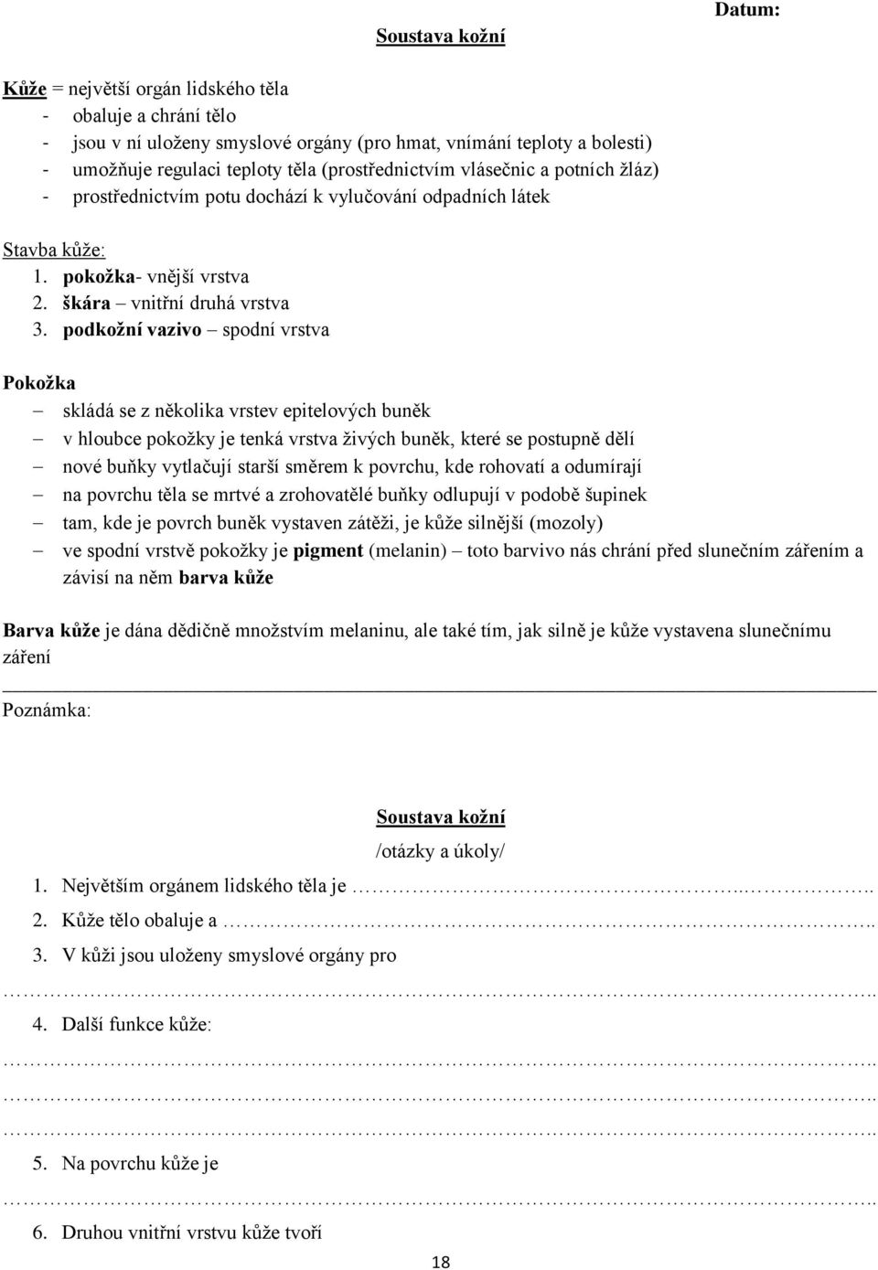 podkožní vazivo spodní vrstva Pokožka skládá se z několika vrstev epitelových buněk v hloubce pokožky je tenká vrstva živých buněk, které se postupně dělí nové buňky vytlačují starší směrem k