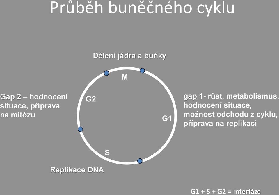 metabolismus, hodnocení situace, možnost odchodu z