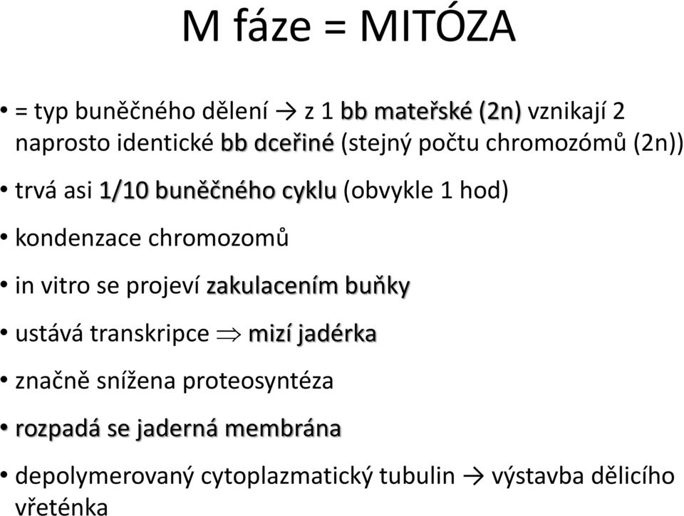 chromozomů in vitro se projeví zakulacením buňky ustává transkripce mizí jadérka značně snížena