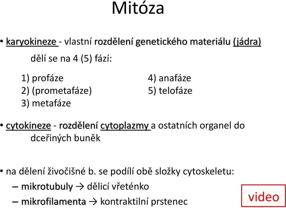 rozdělení cytoplazmy a ostatních organel do dceřiných buněk na dělení živočišné b.