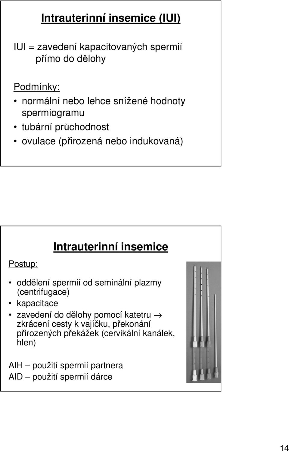 oddělení spermií od seminální plazmy (centrifugace) kapacitace zavedení do dělohy pomocí katetru zkrácení cesty k
