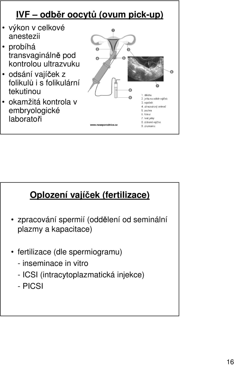 laboratoři www.naseporodnice.