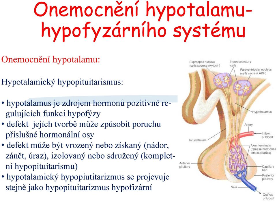 poruchu příslušné hormonální osy defekt může být vrozený nebo získaný (nádor, zánět, úraz), izolovaný nebo