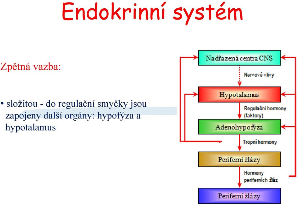 regulační smyčky jsou