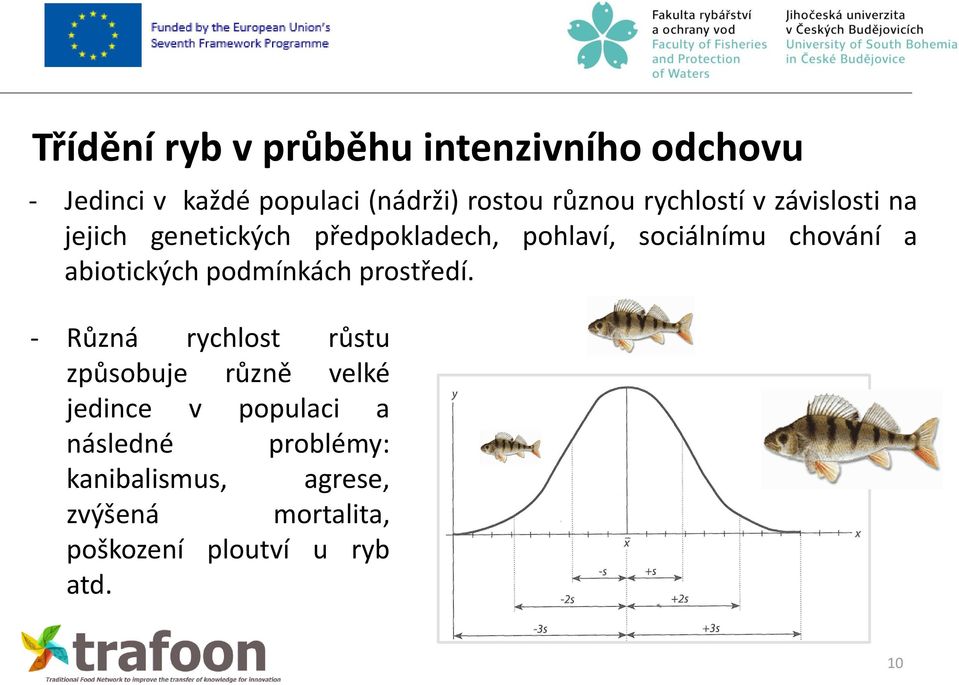 abiotických podmínkách prostředí.