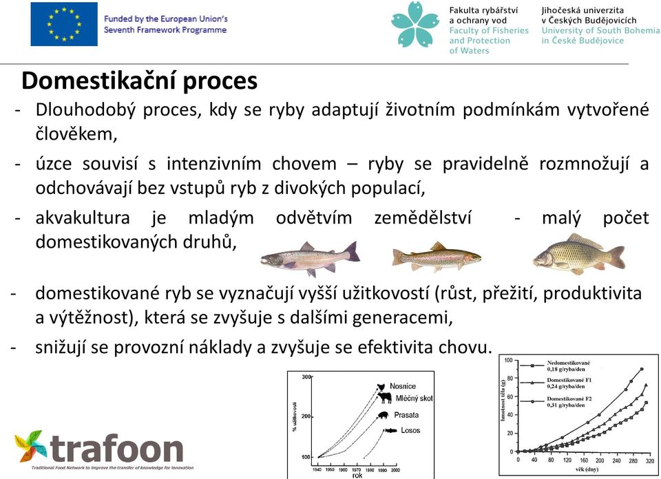 odvětvím zemědělství - malý počet domestikovaných druhů, - domestikované ryb se vyznačují vyšší užitkovostí (růst, přežití,