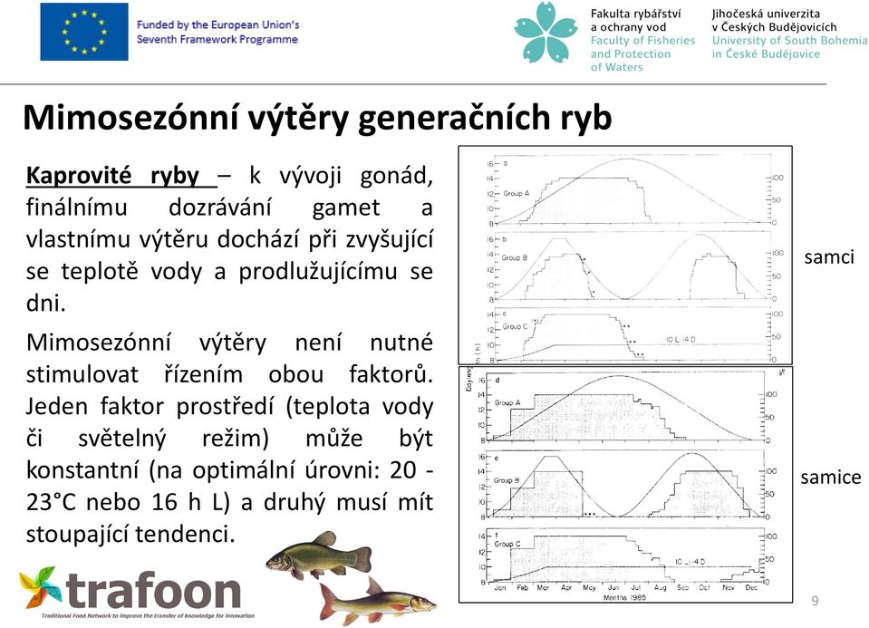 Mimosezónní výtěry není nutné stimulovat řízením obou faktorů.