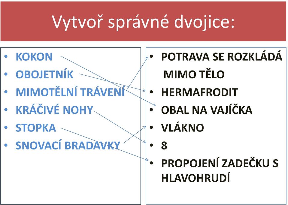 BRADAVKY POTRAVA SE ROZKLÁDÁ MIMO TĚLO