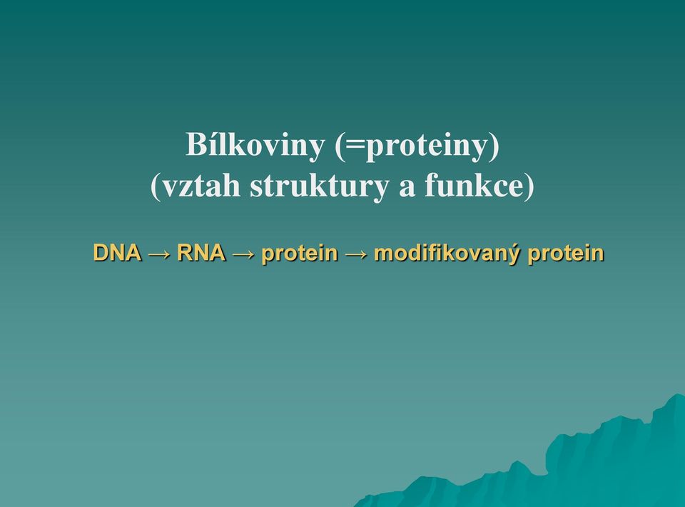 funkce) DNA RNA