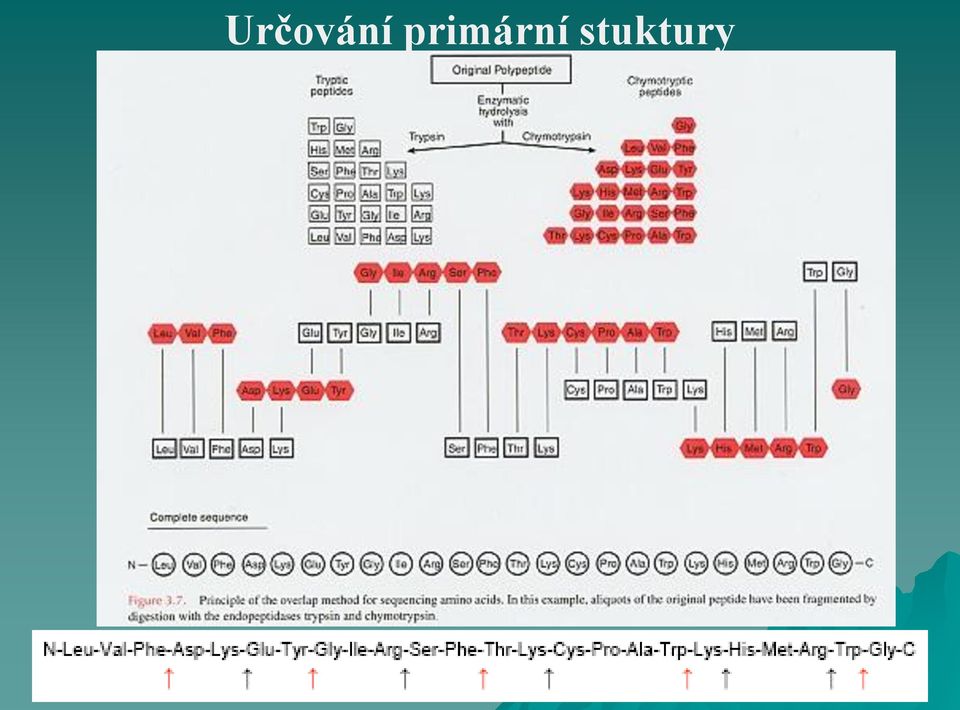 stuktury