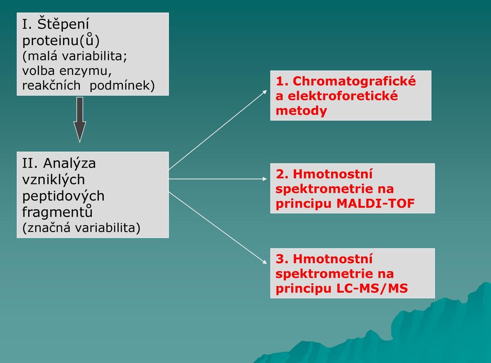 Analýza vzniklých peptidových fragmentů (značná variabilita) 2.