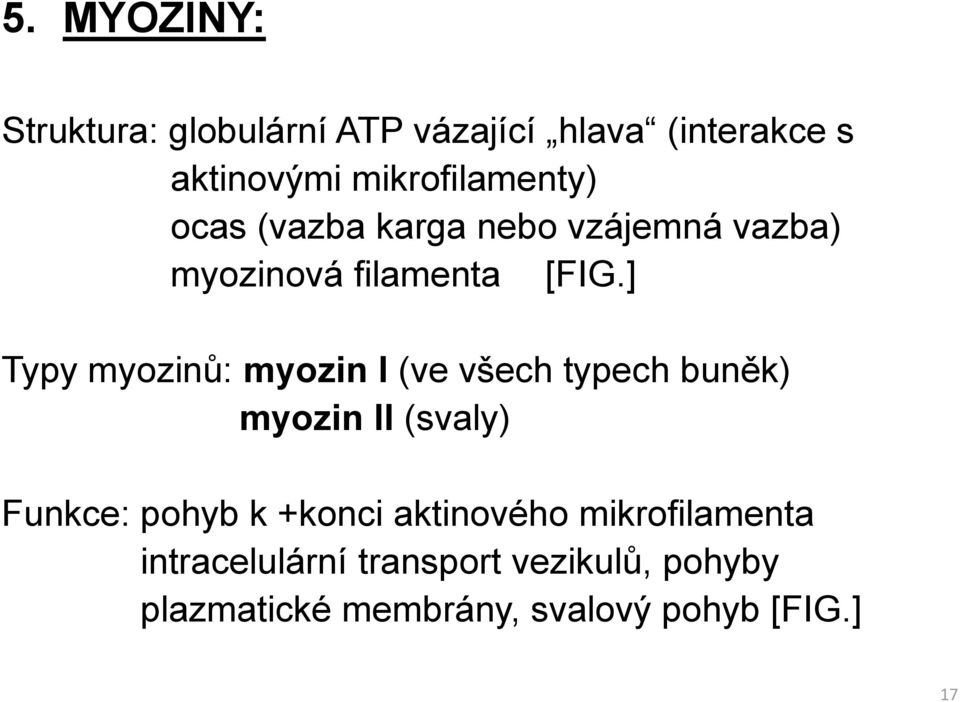 myozinů: myozin I (ve všech typech buněk) myozin II (svaly) Funkce: pohyb k +konci