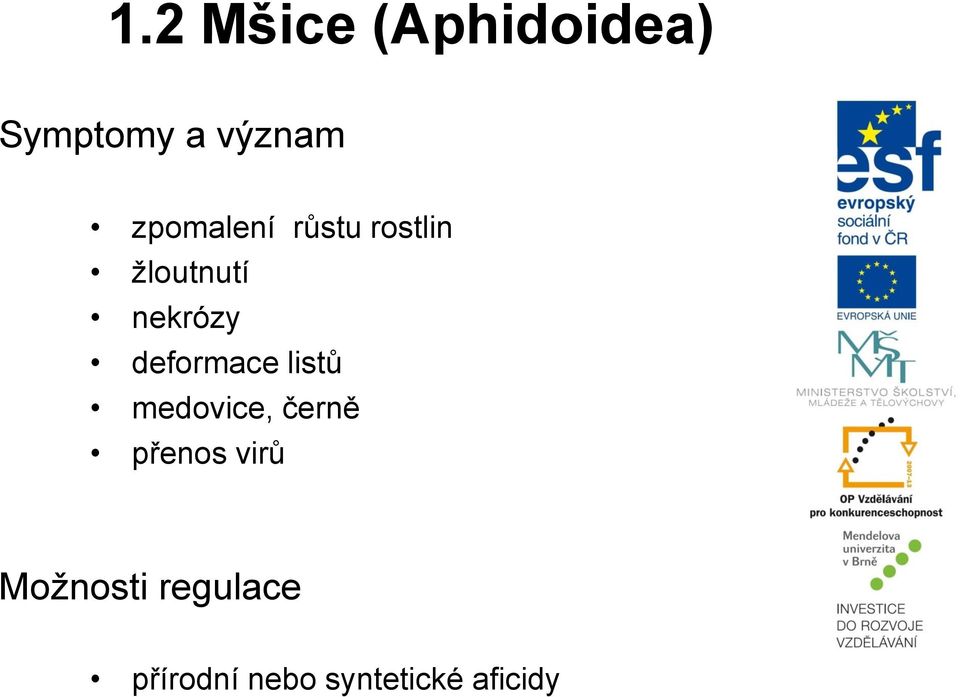 deformace listů medovice, černě přenos virů