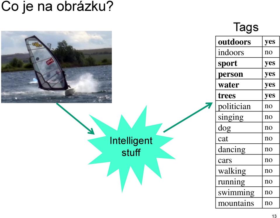 water trees politician singing dog cat dancing cars