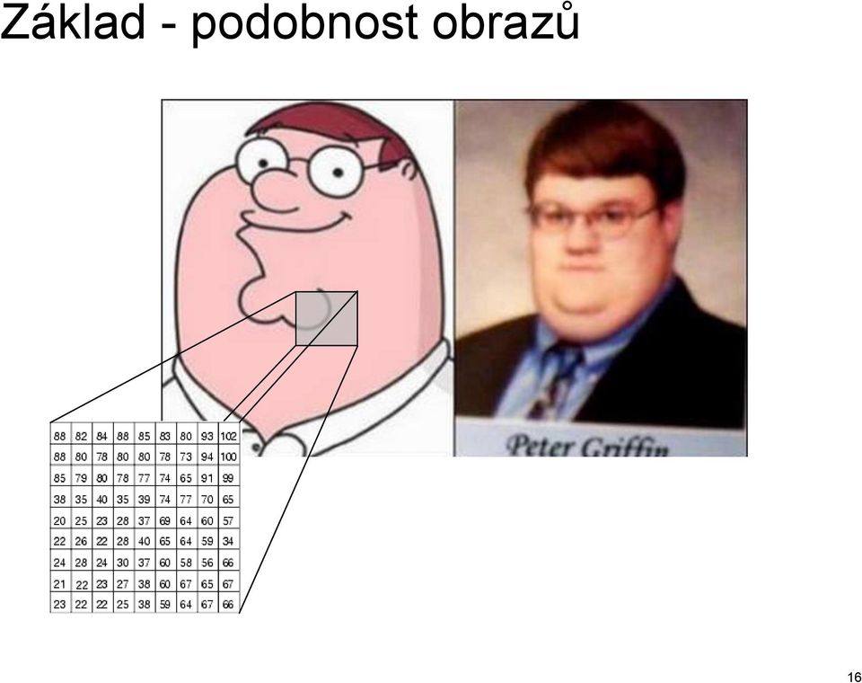 obrazů 16