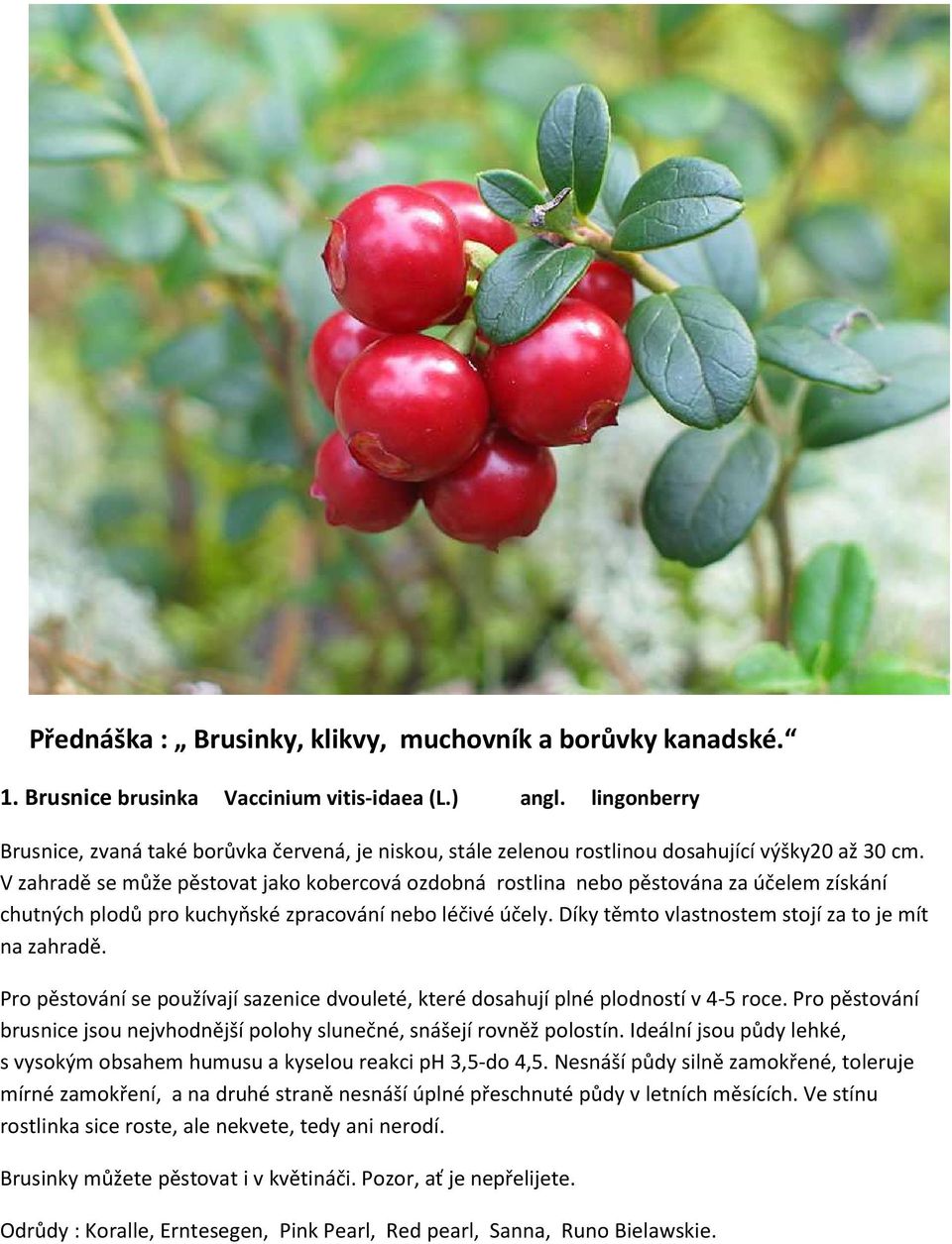 V zahradě se může pěstovat jako kobercová ozdobná rostlina nebo pěstována za účelem získání chutných plodů pro kuchyňské zpracování nebo léčivé účely.