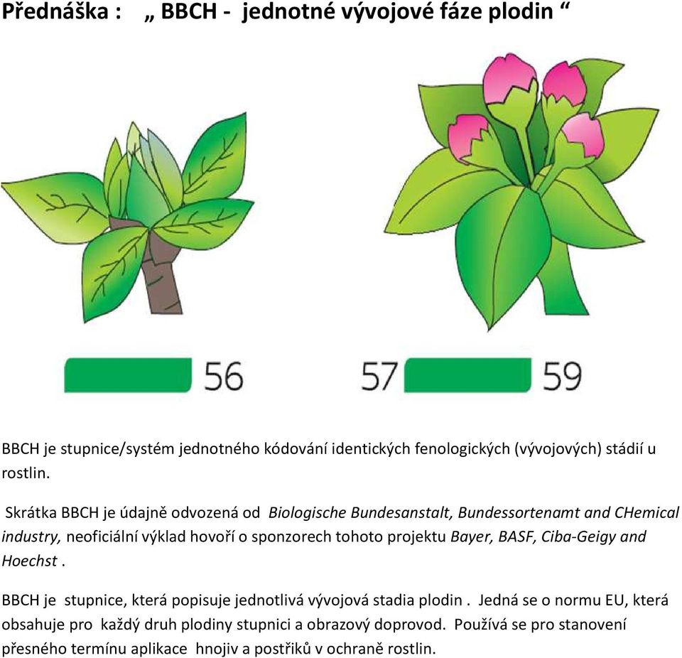Skrátka BBCH je údajně odvozená od Biologische Bundesanstalt, Bundessortenamt and CHemical industry, neoficiální výklad hovoří o sponzorech tohoto
