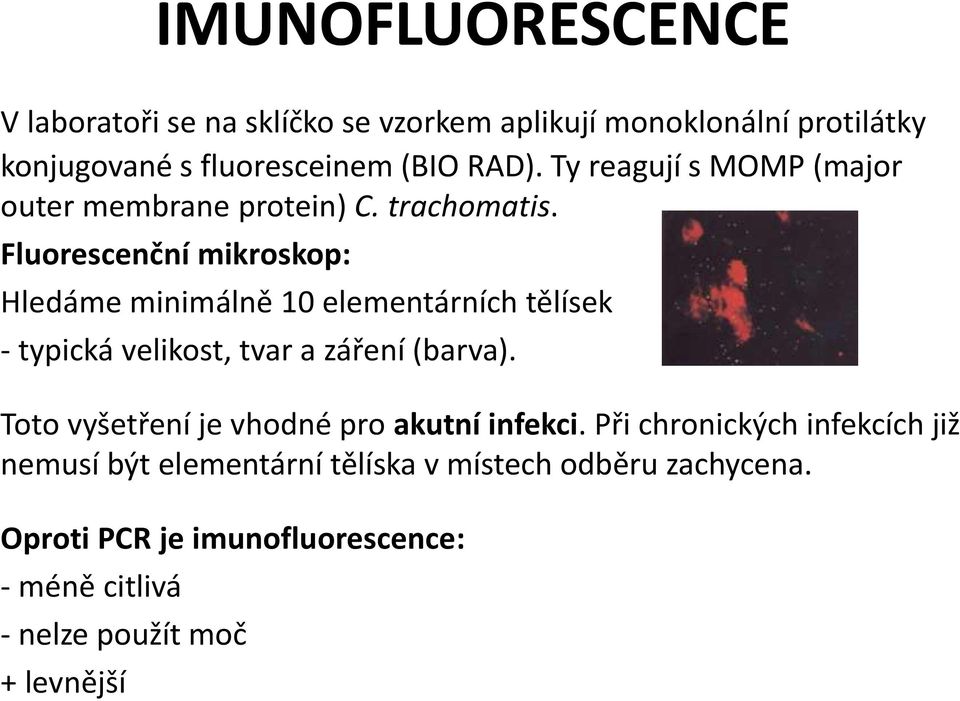 Fluorescenční mikroskop: Hledáme minimálně 10 elementárních tělísek - typická velikost, tvar a záření (barva).