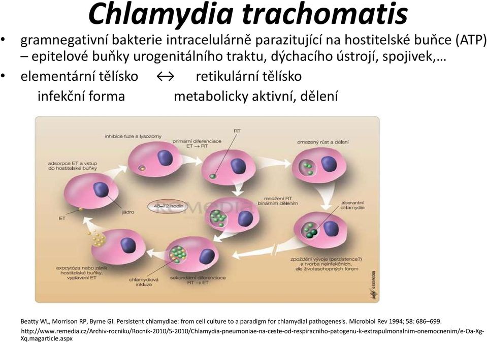 GI. Persistent chlamydiae: from cell culture to a paradigm for chlamydial pathogenesis. Microbiol Rev 1994; 58: 686 699. http://www.remedia.