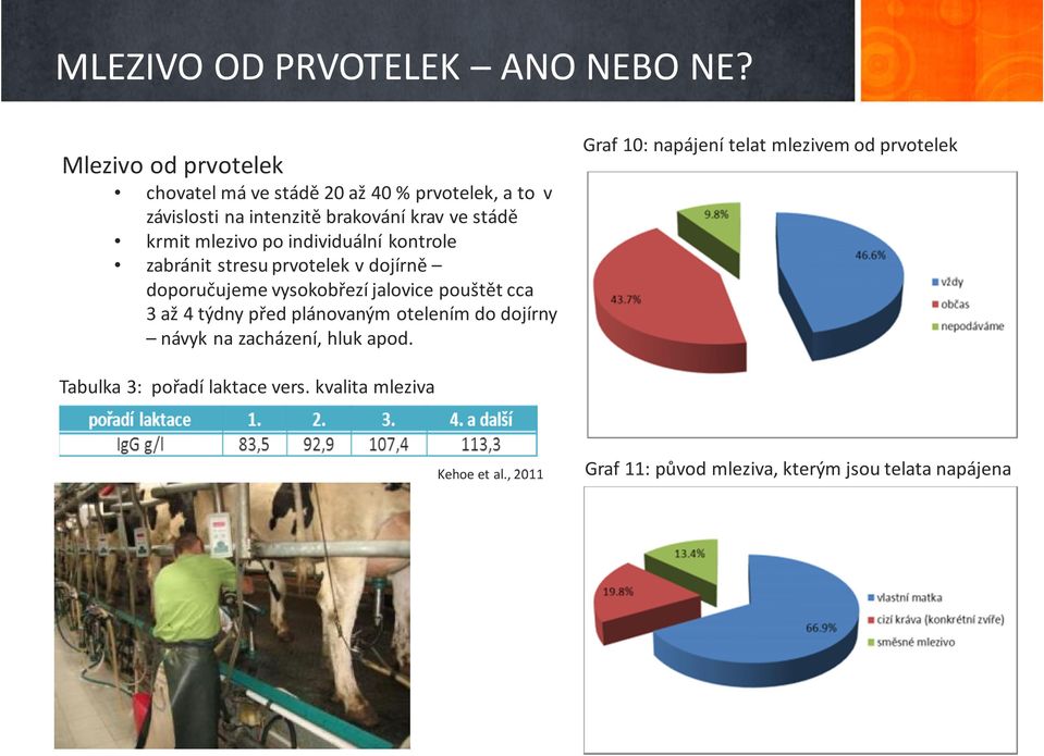 mlezivo po individuální kontrole zabránit stresu prvotelek v dojírně doporučujeme vysokobřezíjalovice pouštět cca 3 až 4 týdny