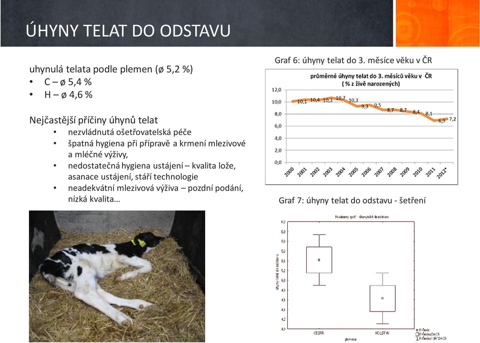 nedostatečná hygiena ustájení kvalita lože, asanace ustájení, stáří technologie neadekvátní mlezivová