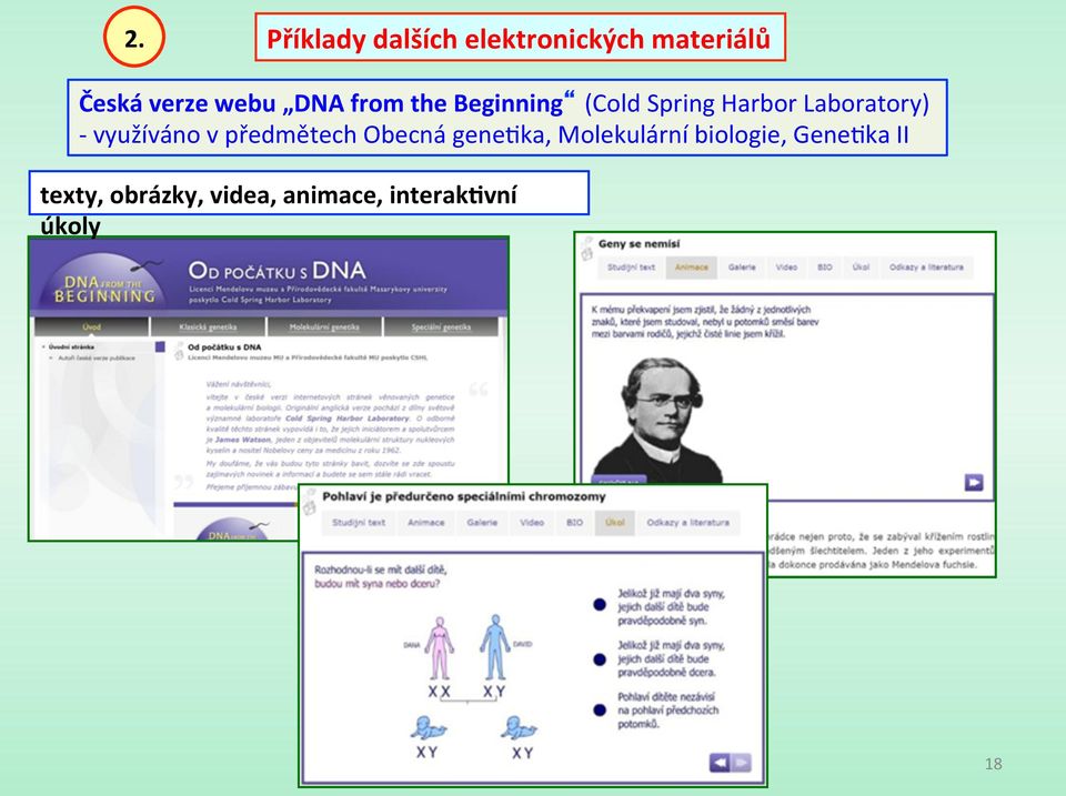 - využíváno v předmětech Obecná genelka, Molekulární