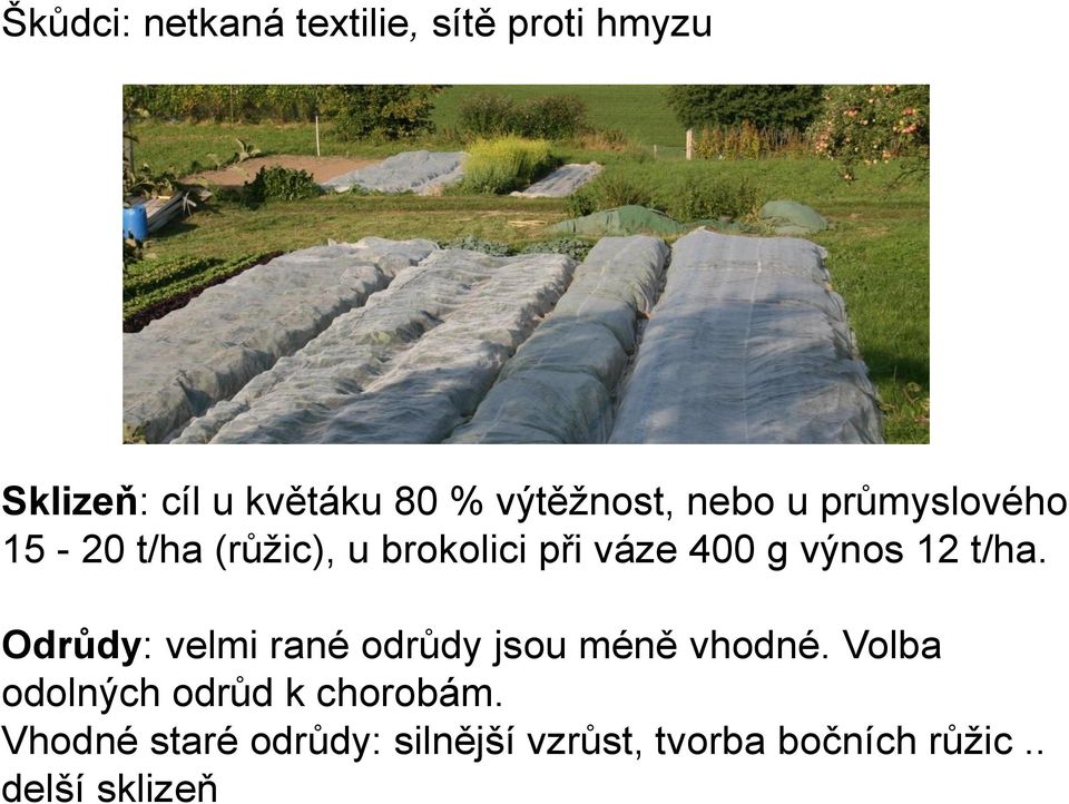 výnos 12 t/ha. Odrůdy: velmi rané odrůdy jsou méně vhodné.