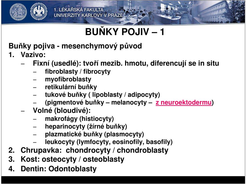 (pigmentové buňky melanocyty z neuroektodermu) Volné (bloudivé): BUŇKY POJIV 1 makrofágy (histiocyty) heparinocyty (žírné