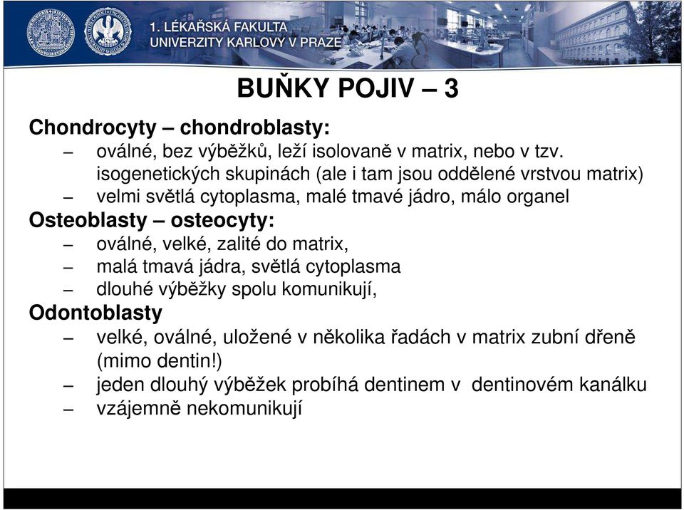 Osteoblasty osteocyty: oválné, velké, zalité do matrix, malá tmavá jádra, světlá cytoplasma dlouhé výběžky spolu komunikují,