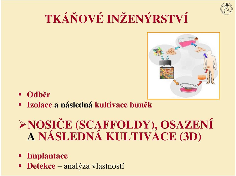 (SCAFFOLDY), OSAZENÍ A NÁSLEDNÁ