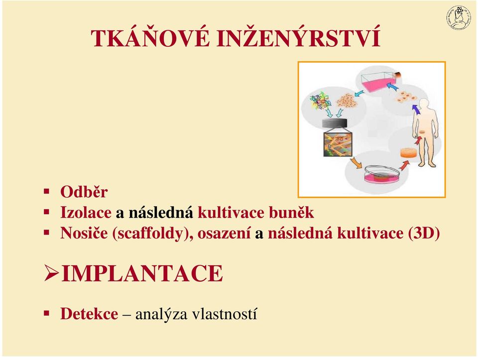 (scaffoldy), osazení a následná