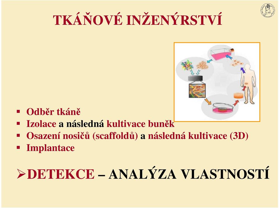 nosičů (scaffoldů) a následná kultivace